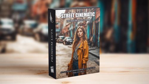 Street Urban Cinematic Moody Videography LUTs - 49963542