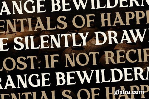 Majestic Kingdome A New Display Serif Font WKAC97G Majestic Kingdome A New Display Serif Font WKAC97G