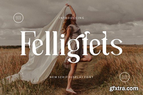 Felligfets Font 6JPFM28