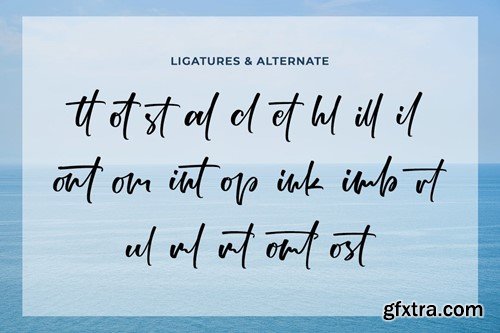 Alcatteraz Script TUKVG4Y