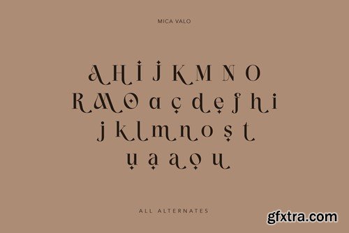 Mica Valo | Elegant Serif Font XG6XA3U