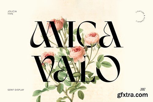 Mica Valo | Elegant Serif Font XG6XA3U
