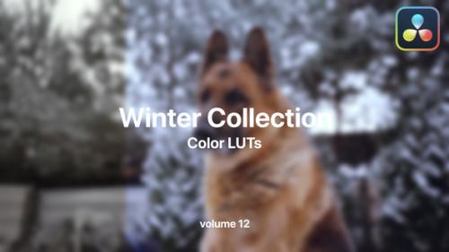 Winter LUTs Collection Vol. 12 - 49984117