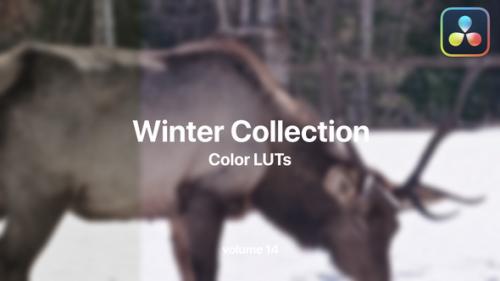 Winter LUTs Collection Vol. 14 - 49984129