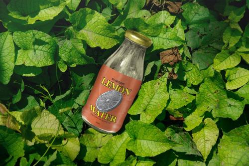 Water Glass Bottle Mockup