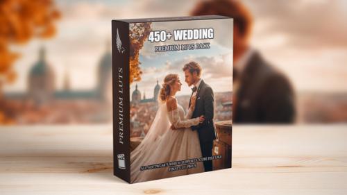Premium Wedding LUTs Mega Bundle: Over 450 Professional Color Grading LUTs - 50005660