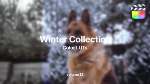 Winter LUTs Collection Vol. 12 - 50022429
