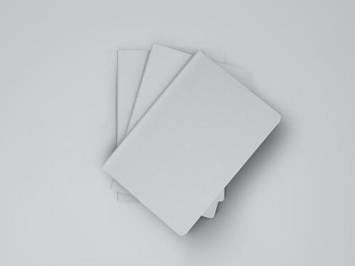 Realistic Passport PSD Mockup Set