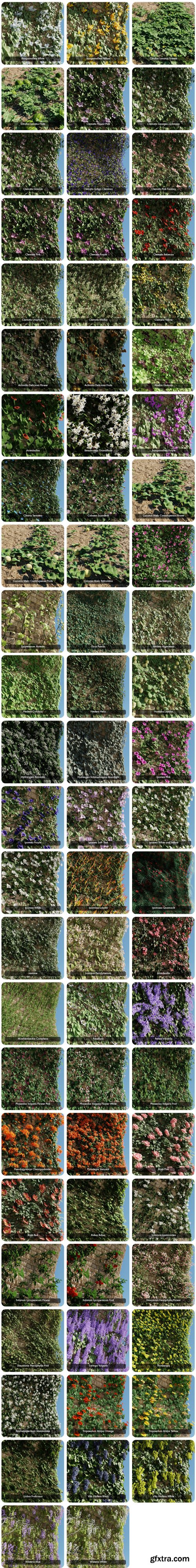 Baga Ivy Generator v2.0.2 (Blender)