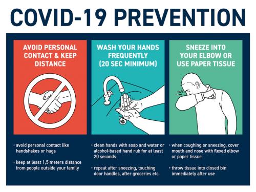 COVID-19 Prevention Poster Layout - 333479407