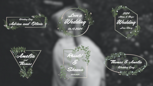 Wedding Titles 4K - 50056986