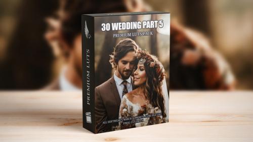 Transform Wedding Videos with 30 Cinematic LUTs: The Videographer&rsquo;s Choice - 50042426