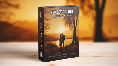 Premium Golden Hour Video LUTs: Elevate Your Footage with Cinematic Hollywood Sunset Effects - 50099746