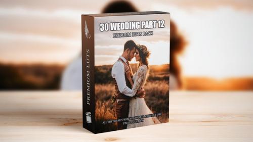 Professional Cinematic LUTs Collection: 30 Wedding Video Presets for Elite Videography - 50111508
