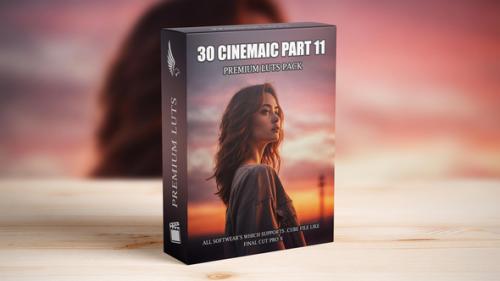 FilmMaker's Dream LUTs Pack - Ultimate Grading Presets for Videos - 50177735