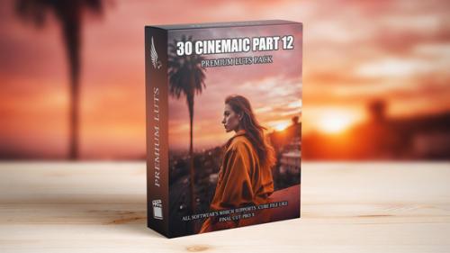 Professional LUTs for Video - Advanced Color Precision - 50177975