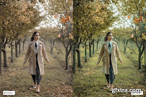 20 Pro Landscape Lightroom Presets NXZYD4U 20 Pro Landscape Lightroom Presets NXZYD4U