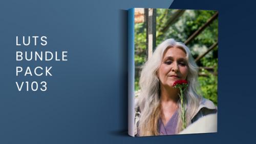 LUTs Bundle Pack V103 | FCPX - 50196045