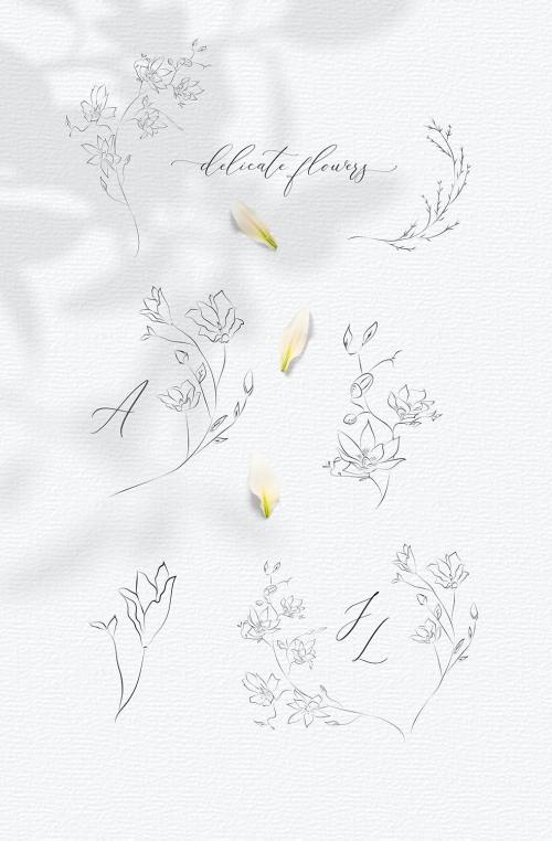 Line drawing botanical illustrations flowers