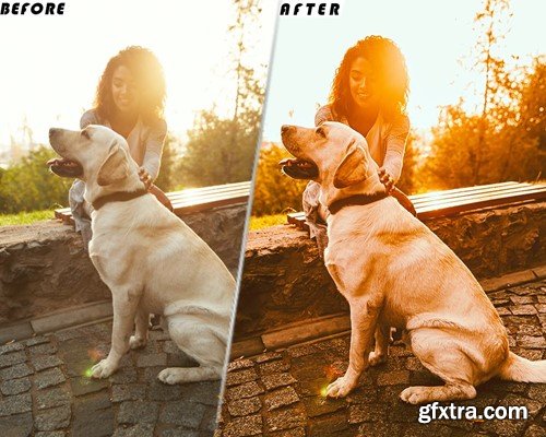Golden Hour Video Luts Presets Mobile & Desctop ZW3DBY3 Golden Hour Video Luts Presets Mobile & Desctop ZW3DBY3