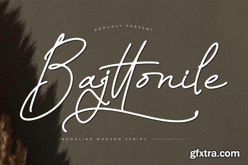 Bajttonile Monoline Script Font GKGKS3L