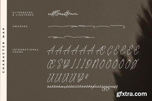 Bajttonile Monoline Script Font GKGKS3L