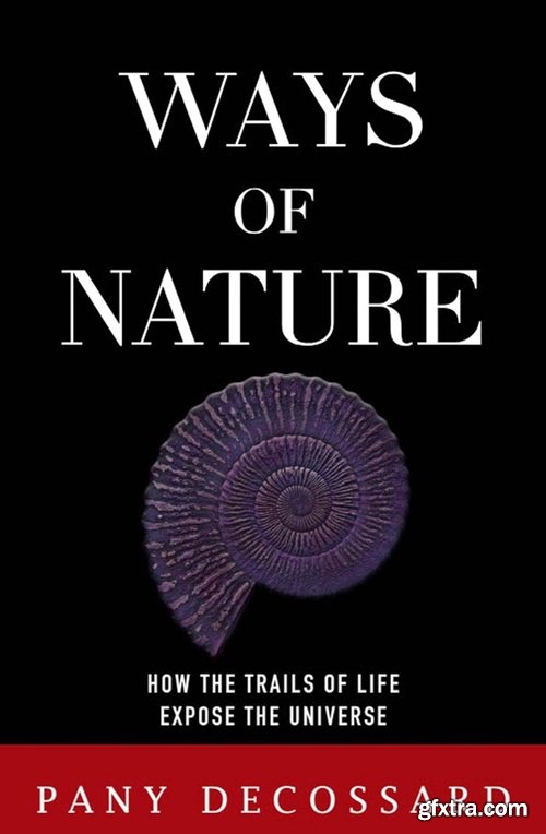 Ways of Nature: How the Trails of Life Expose the Universe