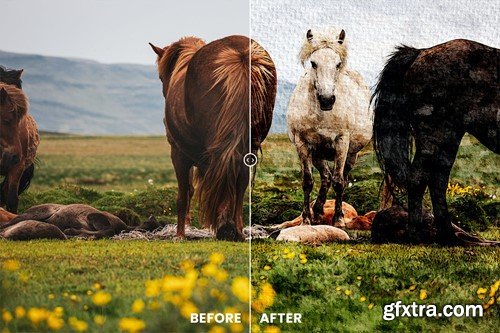 Watercolor Photo Effect JH43A2L Watercolor Photo Effect JH43A2L