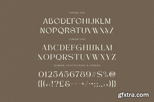 Soraya Sans And Serif DWWNVEK Soraya Sans And Serif DWWNVEK