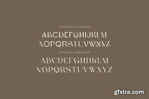 Soraya Sans And Serif DWWNVEK Soraya Sans And Serif DWWNVEK