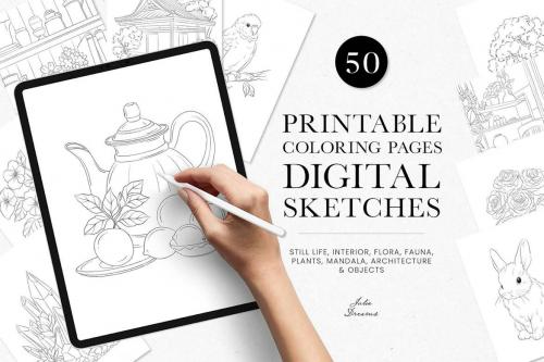 Coloring Pages Digital Sketches Illustration