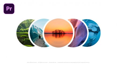 Photo Logo - Reveal Logo - 50227582