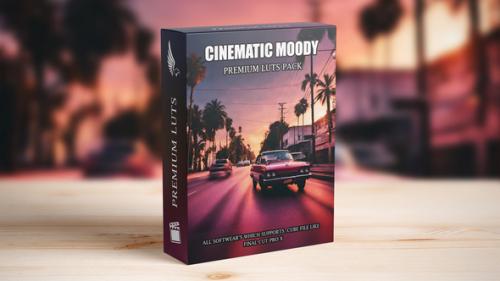 Cinematic Film Look LUTs: Professional Hollywood-Grade Color Presets for Filmmakers - 50243984