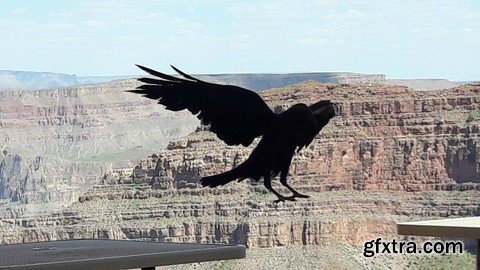 First Steps In Management: A Practical Guide First Steps In Management: A Practical Guide