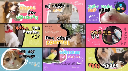 Pets Slides | DaVinci Resolve - 50310773