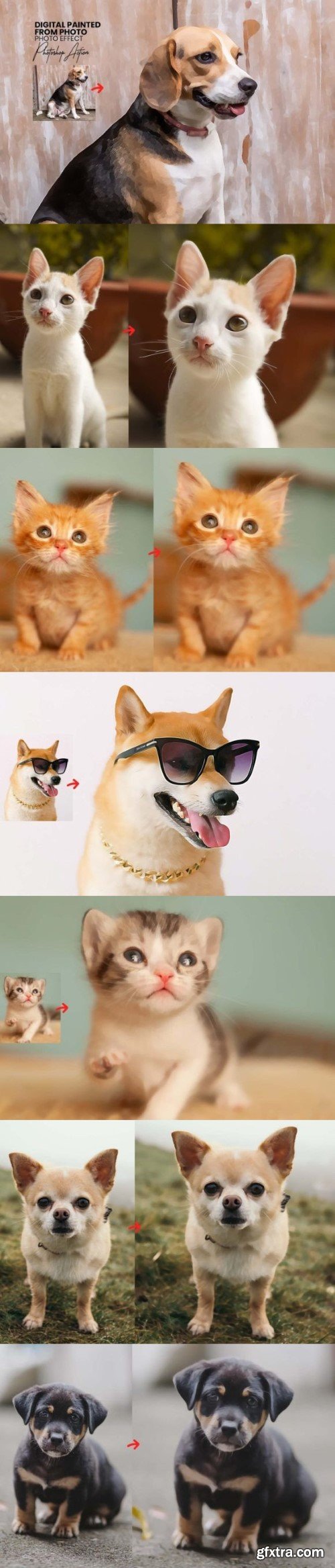 Digital Painted from Photo