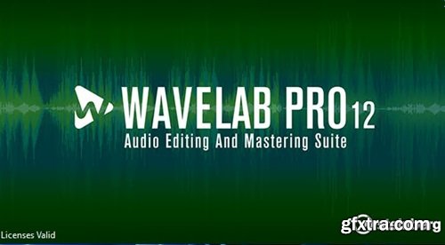 Steinberg WaveLab Pro 12.0.51