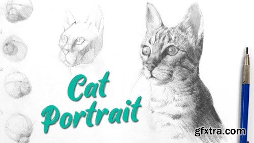 Cat Portrait: Pencil Drawing With A Focus On 3D Form | Intermediate