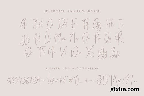 Bottomland - Modern Signature Script DSBUJ75