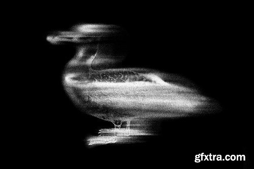 Sandstorm Distort Photo Effect 7VZBH33