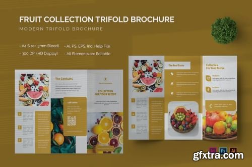 Trifold Brochure Design Pack #8 12xPSD