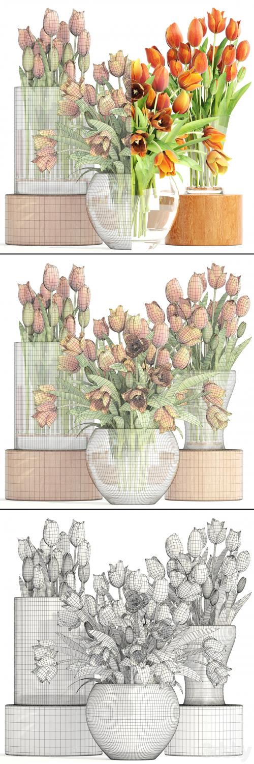 Set of spring bouquets 3. Tulips, flower, orange, vase, spring flowers
