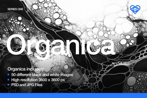 50 Black and White Organic Textures