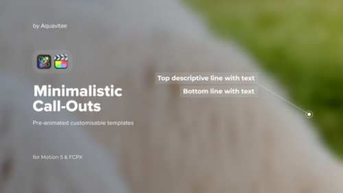 Minimalistic Call Out Titles for FCPX & Motion - 50313407