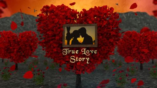 Love Story Slideshow - 50501299