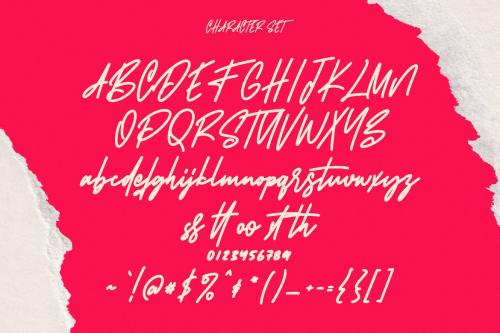 Bizare Love Monoline Script Font