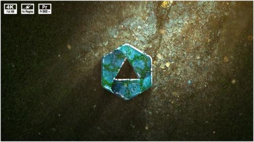 Forest Logo Reveal V.2 - 50570804