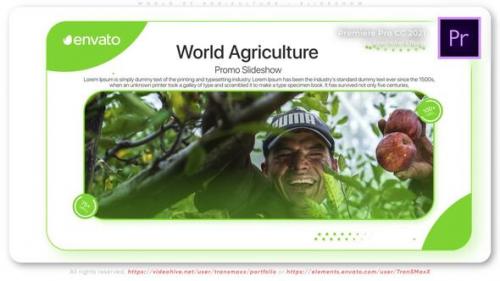 World of Agriculture - Slideshow - 50533143