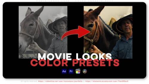 Movie Looks LUTs - Color Presets Pack - 50533830