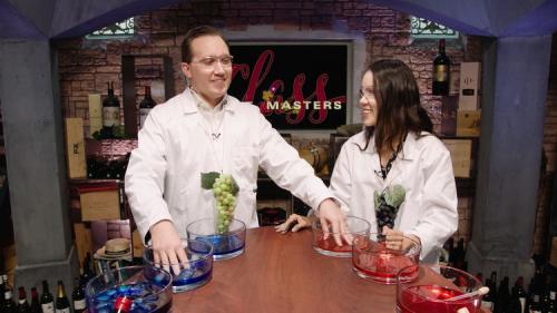 Udemy - WineMasters Class 8 - Wine course ranking higher than WSET 3